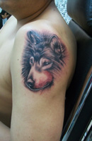 Dog, Cat, Pet, Animals Tattoo