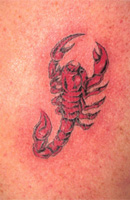 Scorpion, Snake, Lizard, Insect Tattoo
