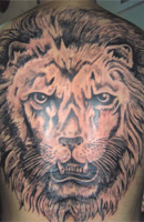 Tiger, Lion, & Wild Animal Tattoo